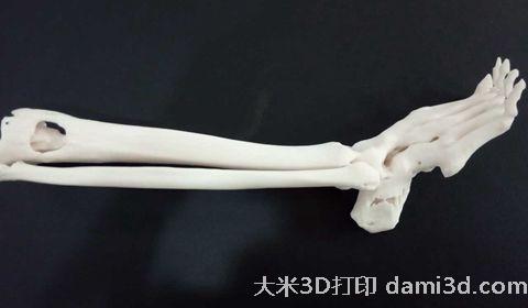 3D打印骨骼模型.jpg