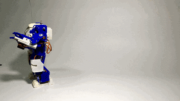 配4.gif